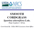 Smooth Cordgrass, Plant Guide