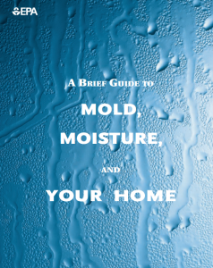 A Brief Guide to Mold, Moisture, and Your Home